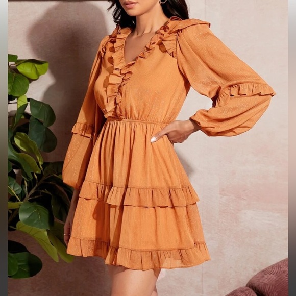 Shimmery Orange Dress - Picture 4 of 5